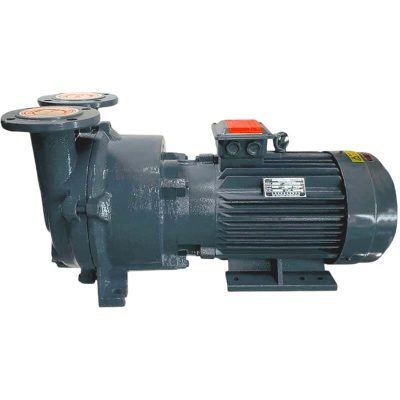 Bomba de Vacío de Anillo de Agua 2BV5121 AISI 316L